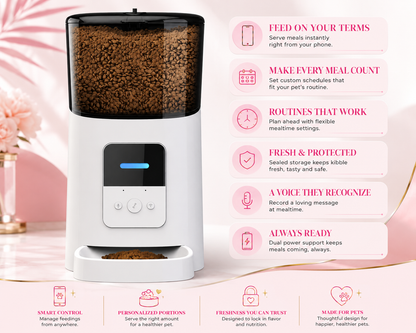Hollywood Smart Feeder